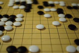 世界围棋赛青年选手战术成熟引热议，2020世界围棋